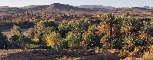 574572792 2560691257663141 6601632693001207100 n